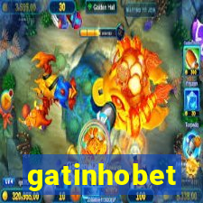 gatinhobet