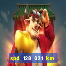 spd 128 021 km 000 metros 200 mapa