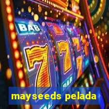 mayseeds pelada