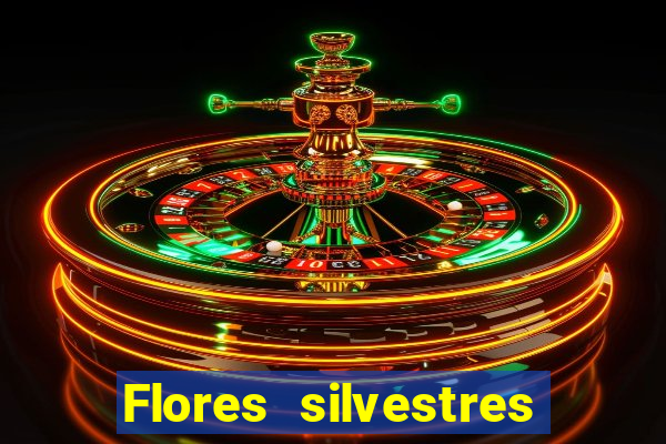 Flores silvestres brasileiras brasileiras flores silvestres nomes e imagens