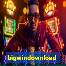 bigwindownload