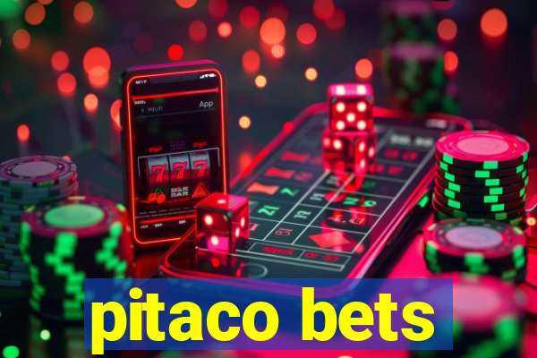 pitaco bets