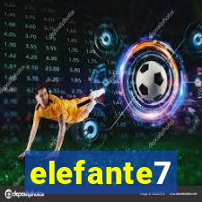 elefante7