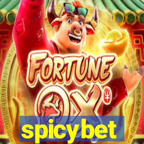 spicybet-4.com